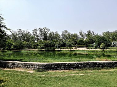 Sanjay Gölü 'nün dar bir uzantısı. Güneşli bir günde ağaçları yansıtıyor. Önünde taş bir duvar var.
