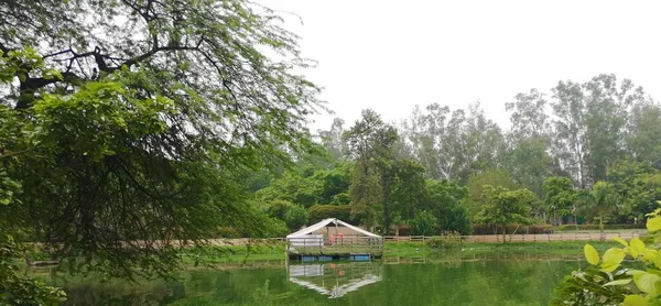 Plataforma Flutuante Com Reflexão Sanjay Lake East Delhi — Fotografia de Stock