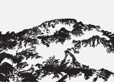 Tasarımınız için doku kaplaması. Siyah ve beyaz grunge backgrou