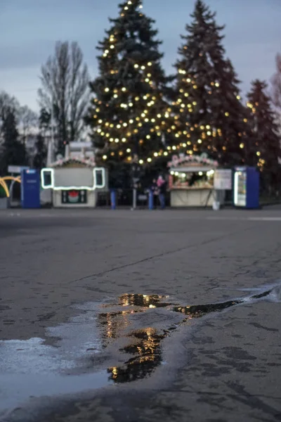 雪のない新年と美しいガーランドやクリスマスツリーの背景に水溜りと — ストック写真