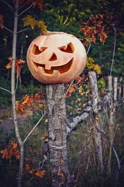 Kürbis auf einer Säule. Jack o Laterne für Halloween — Stockfoto