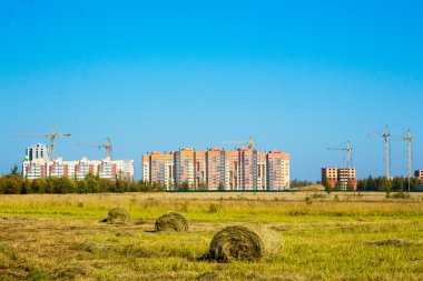 saman yığını fotoğraf