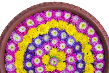 Seramik lavabo beyaz arka plan su üzerinde yüzen çiçek.