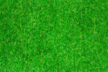 Çim doku doğa.