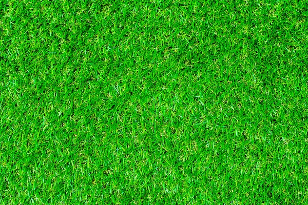 Natura Grass texture . — Foto Stock