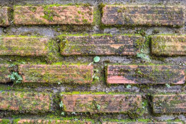 eski tuğla duvar dokusu