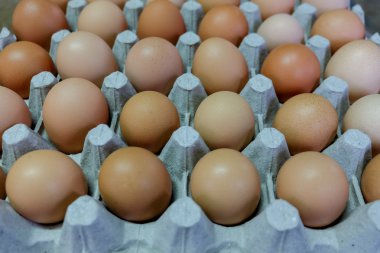 Yumurta, seçili odak