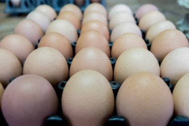 Yumurta, seçili odak