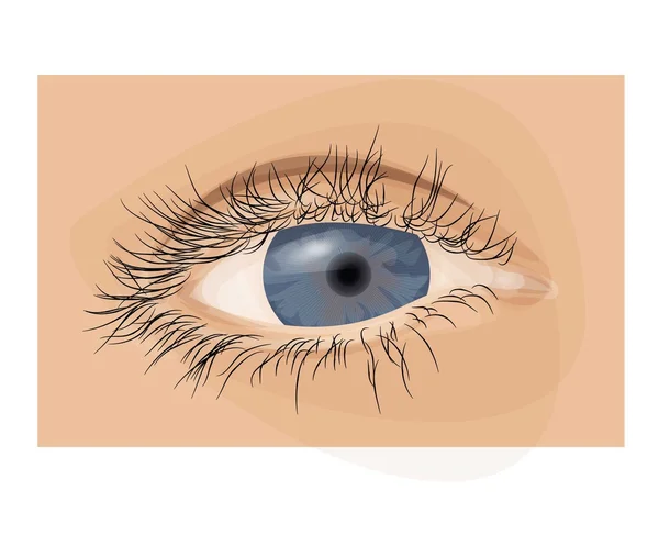Blue human eye — Stock Photo, Image