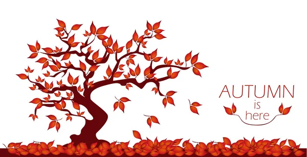 Metin ile sonbahar ağacı — Stok Vektör