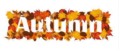 Sonbahar sonbahar yaprakları Word'de