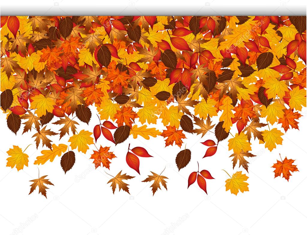 Autumn leaves background