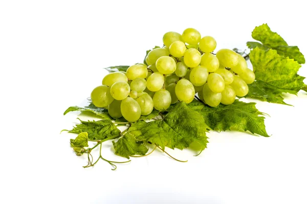 Bando de uvas verdes e folhas no fundo branco — Fotografia de Stock