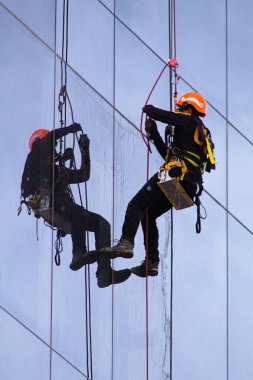 Tavandan sarkan bir adam yüksek bir binanın camlarını temizliyor.