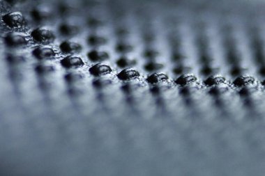 Bir demet mantarı kapat