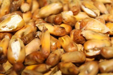 Sarı ve kepek kızartılmış mısırlar.