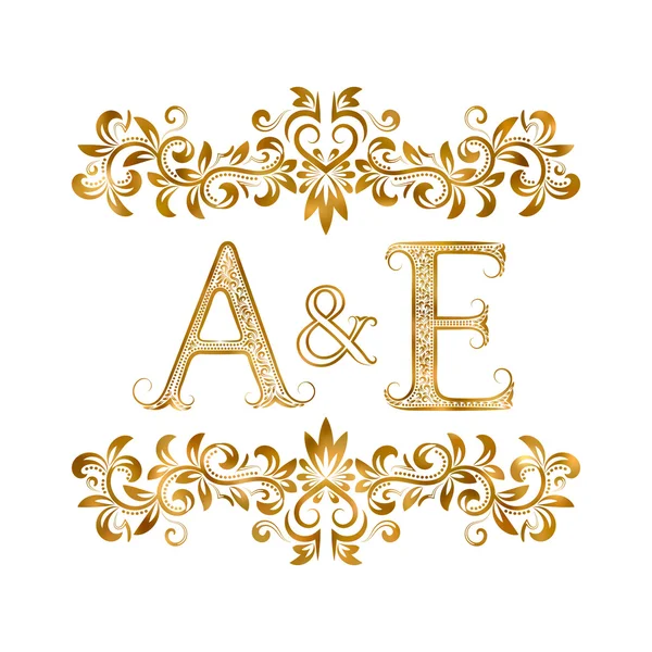 Signatura del logotipo de A & E vintage initials . — Vector de stock