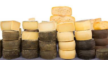 collection of cheeses. clipart