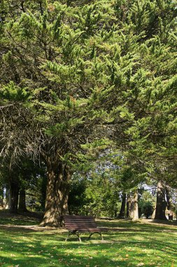 Bankalar Sonbahar Park.
