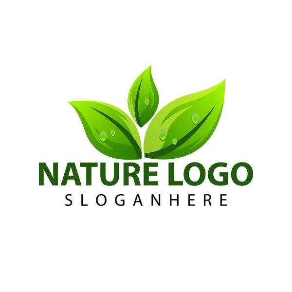 Modello Logo Foglia Verde Icona Vettoriale Illustrazione Design — Vettoriale Stock