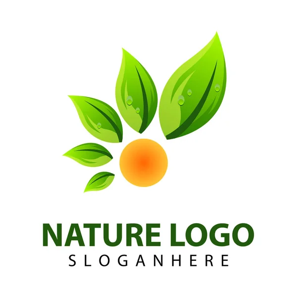 Modello Logo Foglia Verde Icona Vettoriale Illustrazione Design — Vettoriale Stock