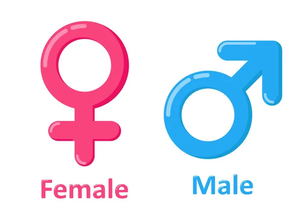 Gender Symbol Mit Frau Und Frau Vektorillustration — Stockvektor