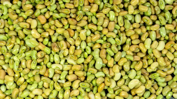 Green Cowpeas Seed Texture Background ストック写真