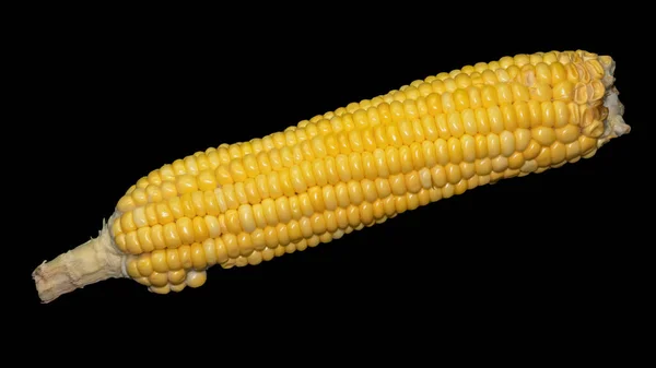Single Corn Black Background Isolated — ストック写真