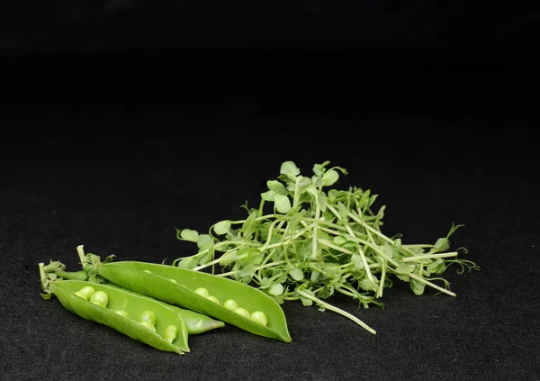 Ärtor Skida Och Mikrogrön Svart Bakgrund — Stockfoto