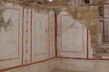 Eski şehir freskinin restorasyonu üzerine yatay çekim arkeolojik çalışma