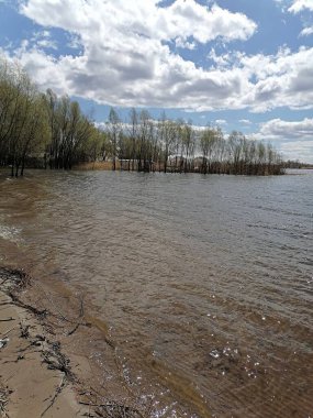 Nehir kıyısındaki bahar ormanı