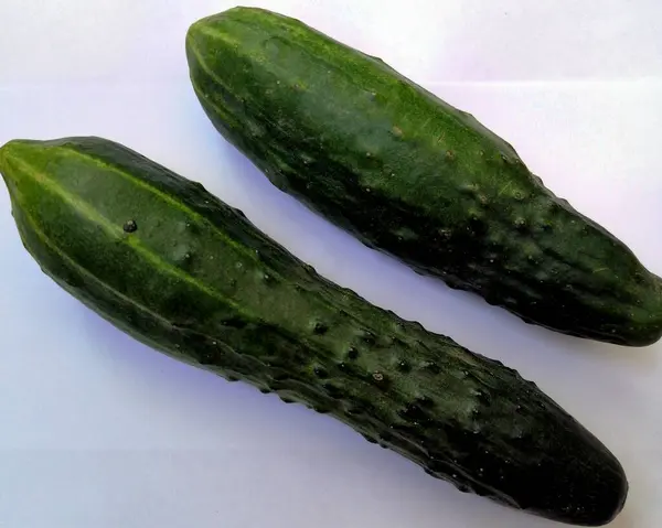 Mavi arka planda sivilceli salatalıklar.