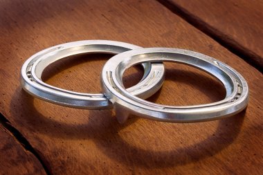 Yuvarlak at nalı ata nal