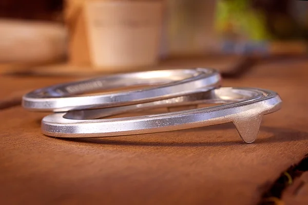 Yuvarlak at nalı ata nal