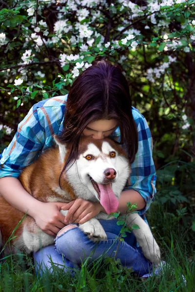 Девушка обнимает свою собаку сибирскую хаски — стоковое фото