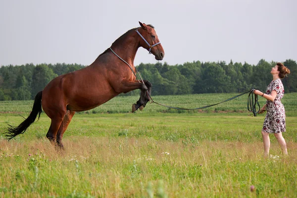 Hermosa chica con caballo gratis —  Fotos de Stock