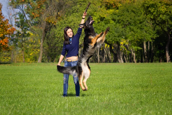 소녀는 공원에서 그녀의 강아지와 함께 재생 — 스톡 사진