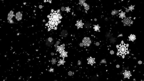 Winter sneeuw en sneeuw vlokken 3 Loopbare achtergrond — Stockvideo