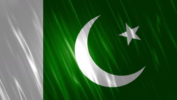 Pakistanische Flagge lückenhafter Hintergrund — Stockvideo