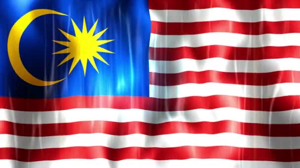 Malaysia Flag Animation — Stock Video