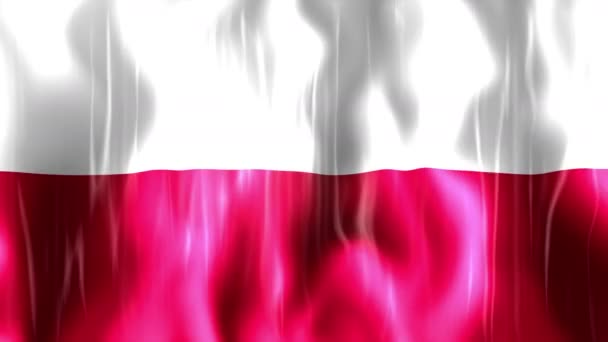 Польща прапор анімація — стокове відео