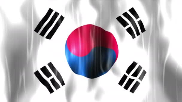 Corea del Sud Bandiera Animazione — Video Stock