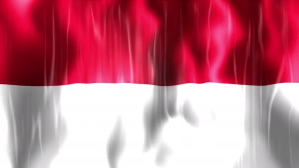 Indonesia Flag Animation — Stock Video