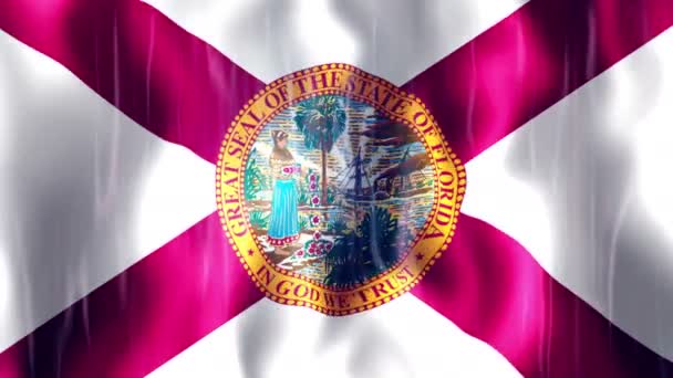 佛罗里达州旗帜动画 — 图库视频影像
