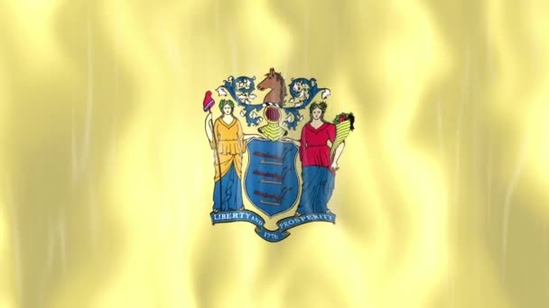 New Jersey State Flag Animation — Stock Video