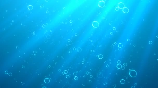Underwater Rays 1 — Stock Video