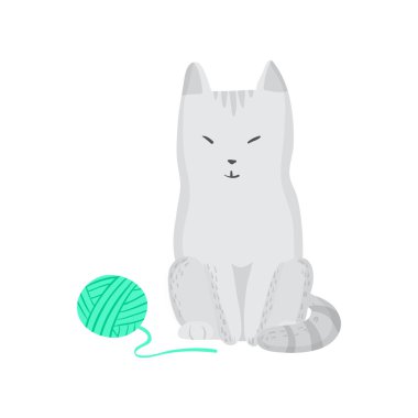 Gri izole kedi ve clew