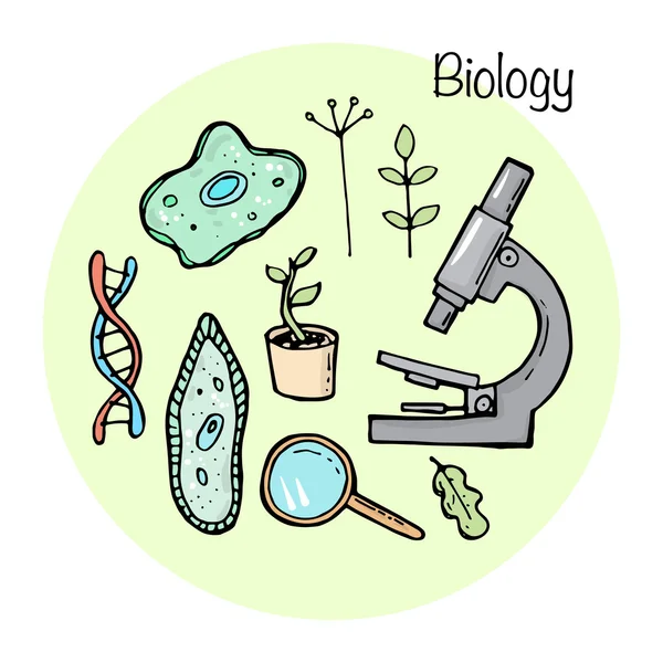 Conjunto de elementos de stydying. Tópico de biologia . —  Vetores de Stock