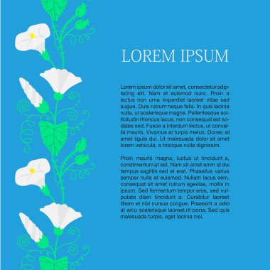 Bağlamalı kart ve metninizin yeri