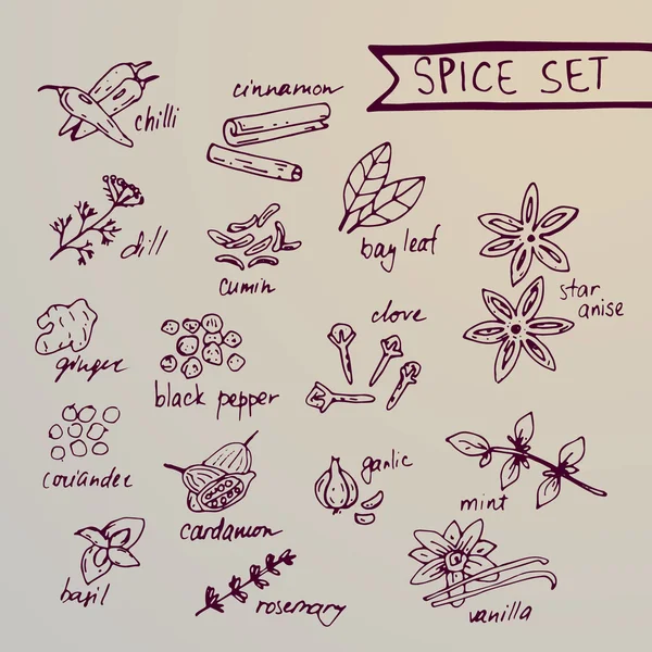 Spice vector set in sketch style. Vector illustration — Stock Vector